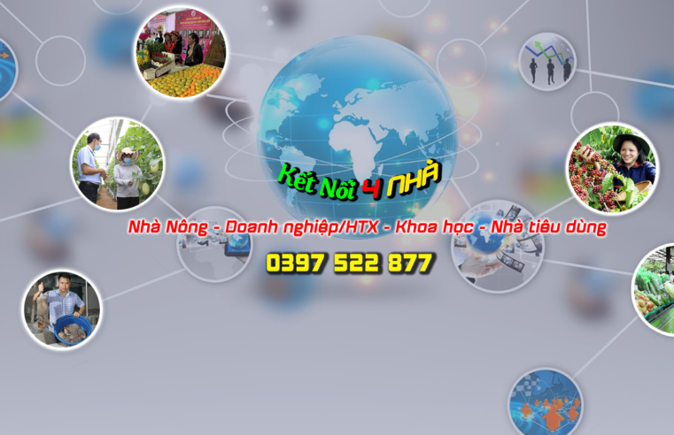 Kết Nối Nhanh