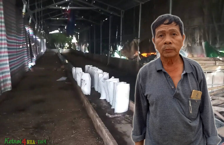 Trại Giun Quế ông Khanh ở Khoái Châu – Hưng Yên